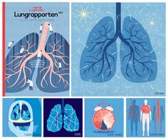 the lungs and their functions are depicted in this illustration, with illustrations on them to help explain