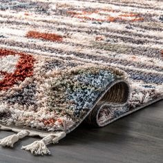 a multicolored area rug with tassels on the floor