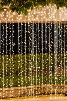 some lights hanging from the side of a building in front of a tree and bushes