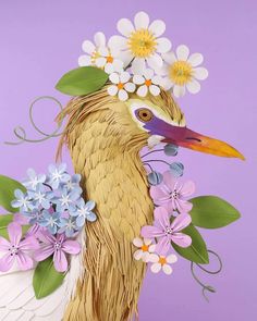 a close up of a bird with flowers in its beak on a purple background,