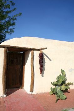 an adobe - style building with a cactus in front of it and a door on the side