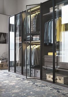 a walk in closet with glass doors and clothes hanging on the walls, along with an area rug