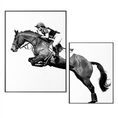 CORX Designs - Knight Horse Black and White Canvas Art - Review Horse Black And White, Knight Horse, Black And White Canvas Art, Finds On Amazon, Horse Black, White Canvas Art, Equestrian Art, Equestrian Decor, Look At The Moon