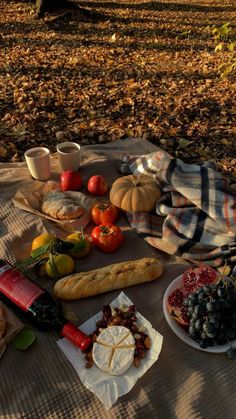 a picnic with bread, fruit and cheese on the blanket in the woods next to trees