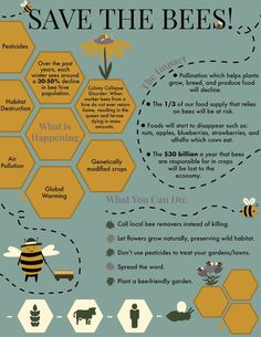 an info sheet with bees and honeycombs on it, including the words save the bees