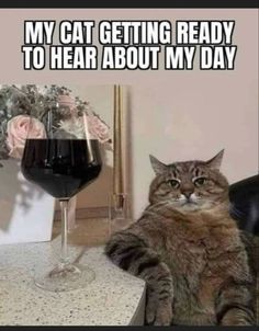 a cat sitting next to a glass of wine