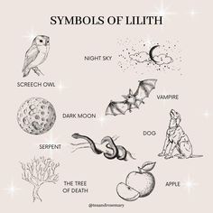 Spell Rituals, Witches Quotes, Word Spells, Naga Panchami, Freezer Spell, Lillith Goddess, Wild Tea, Lilith Symbol, Goddess Lilith