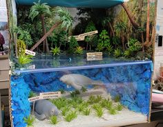 an aquarium with fish and plants in it