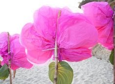 pink paper flowers with green leaves on the beach