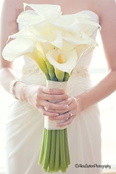 a bride holding a bouquet of white flowers