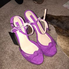 Brand New Never Worn Spring Purple Heels With Stacked Heel, Purple Stacked Heel Heels For Spring, Purple Heels, Color Purple, Shoes Women Heels, Shoes Heels, Fast Delivery, Womens Sizes, Size 6