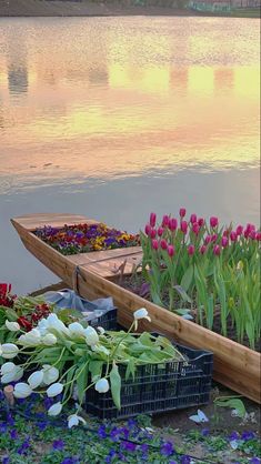 a row boat filled with lots of flowers next to a body of water at sunset