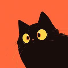 a black cat with yellow eyes stares into the distance, against an orange sky background