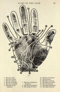 an old hand with lines of the palm on it