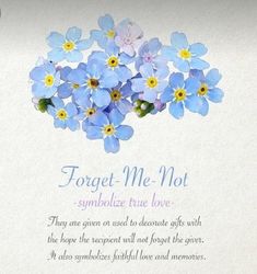 forget me not sympathy card with blue and yellow flowers on white paper, in the center is a poem written by an unknown person