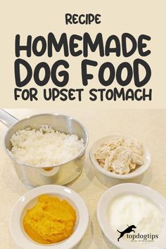 the recipe for homemade dog food is shown in three bowls with different types of toppings