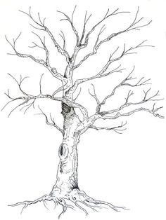 a drawing of a tree with no leaves