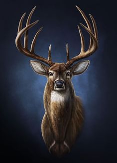 a painting of a deer with antlers on it's head