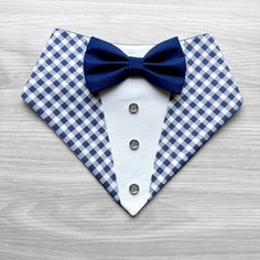 a blue and white checkered shirt with a bow tie on it's lapel