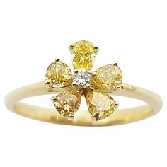 Yellow Diamond 0.63 carat with Diamond 0.02 carat Ring set in 18K Gold Settings Width: 0.8 cm Length: 0.8 cm Ring Size: 52 Total Weight: 2.27 grams "We first opened doors in 1980 when it was then situated in the vicinity of the Victory Monument; a small and modest storefront with a couple of counters. From its humble beginnings to where it stands today, our company has proven its abilities as a jeweler. Since the beginning, we have been supplying fine quality pieces to dealers, wholesalers and c Diamond Ring Settings, Gold Ring Sets, 18k Gold Ring, Yellow Diamond, Cocktail Rings, Ring Sets, Monument, Diamond Ring, Gold Rings