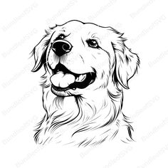 a black and white drawing of a dog's face