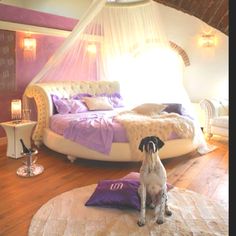 a dog sitting on the floor in front of a bed