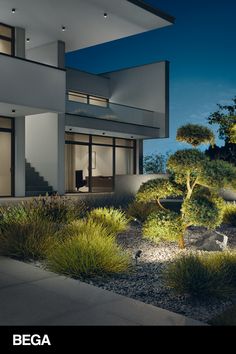 an exterior view of a modern house at night with lights on and plants in the foreground