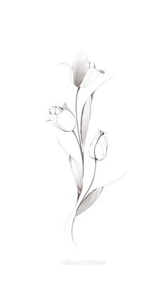 a drawing of some flowers on a white background