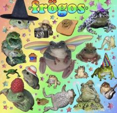 a poster with frogs and other animals on it's back side, including a witch hat