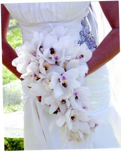 the bride's bouquet is made up of white orchids