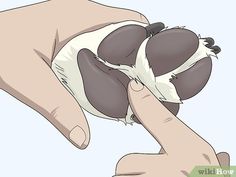 a person holding a small animal in their hand with it's paw on the ground