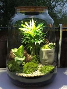 a glass jar filled with plants on top of a table