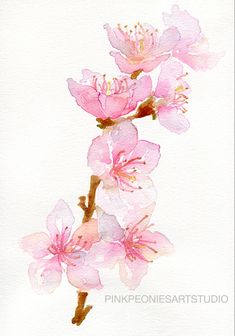 watercolor painting of pink flowers on white paper