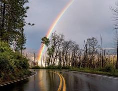 a double rainbow is seen over the road in the middle of the woods and trees