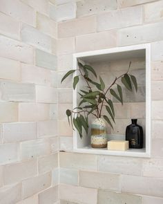 there is a plant in the corner of this bathroom window sill with soap and other items on it