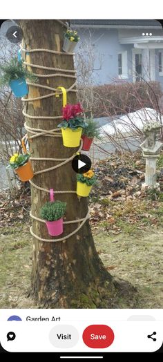 a tree with several potted plants hanging from it