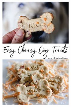 easy cheesy dog treats are the perfect treat for dogs