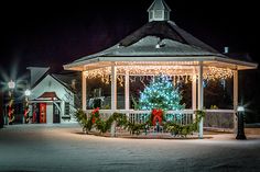 a gazebo covered in christmas lights with a lit up tree on the front porch