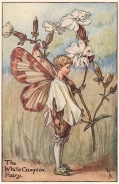 an illustration of a fairy holding a flower