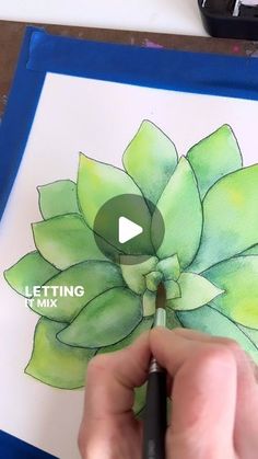 someone is drawing a succulent plant with watercolors