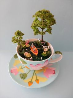 a tea cup filled with miniature trees and plants on top of a saucer next to a plate