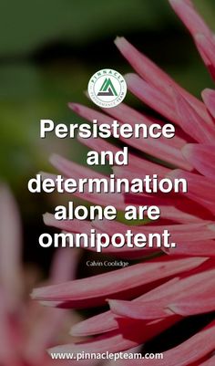 Persistence and determination alone are omnipotent. more in telegram Calvin Coolidge, A Team