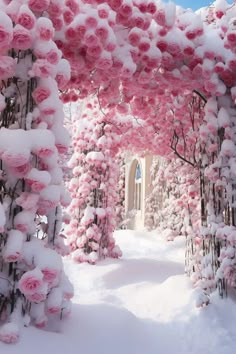 pink flowers are growing on the side of a snow covered path that is lined with trees and bushes