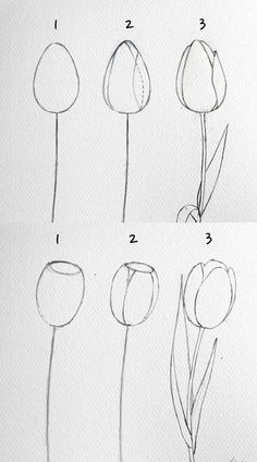 how to draw a flower step by step