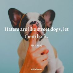 Let Them Bark Quotes Let The Dogs Bark Quotes, Barking Dogs Quotes, Dogs Quotes, Yamaha Rx100, Quotes About Haters, K Quotes, Afternoon Quotes, Hd Quotes, Street Dogs