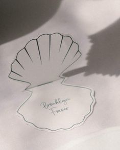 the shadow of a scallop shell is cast on paper with writing underneath it