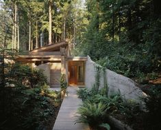 a house in the woods surrounded by trees