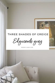 there are three shades of grey in this living room