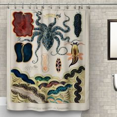 a shower curtain with an octopus and other sea creatures on it's side in a bathroom