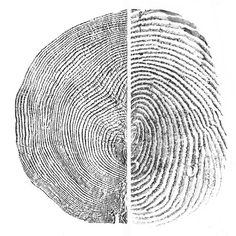 two different types of finger prints are shown in black and white, each with an individual's fingerprint